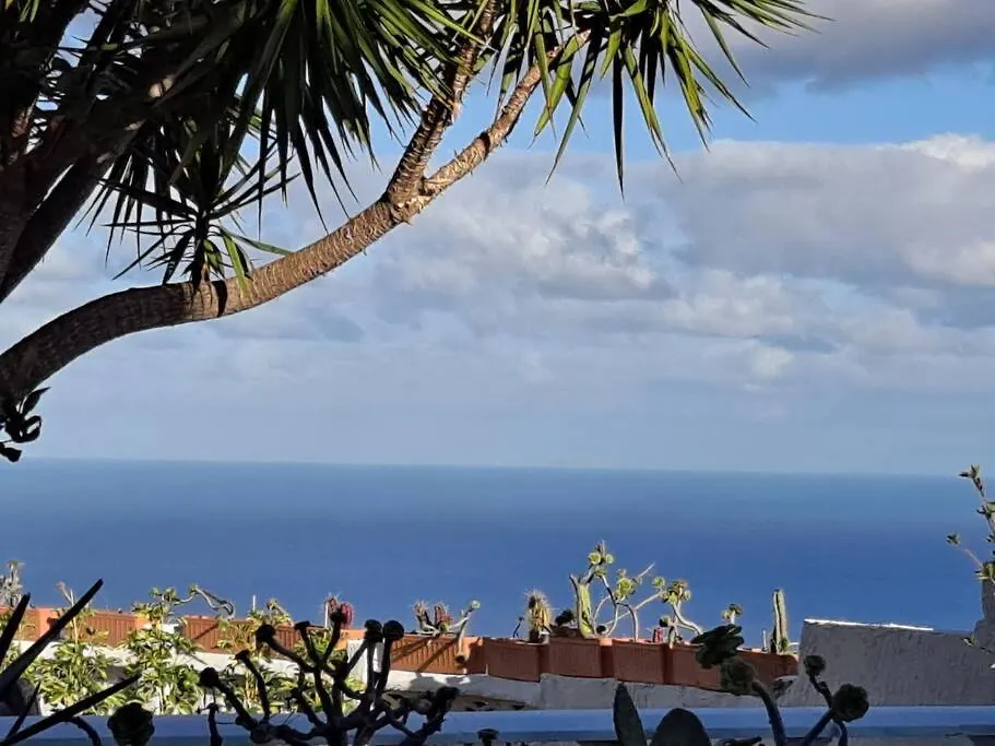 Tenerife Apartment Dulcynea With Terrace And Garden 600M2 With Ocean And Teide View Icod De Los Vinos 0*,  Spanien